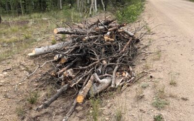 Community Wood Chipping